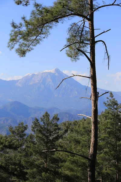 Vista Desde Ruta Turística Likya Yolui Montaña Tahtali Dagi Turquía —  Fotos de Stock