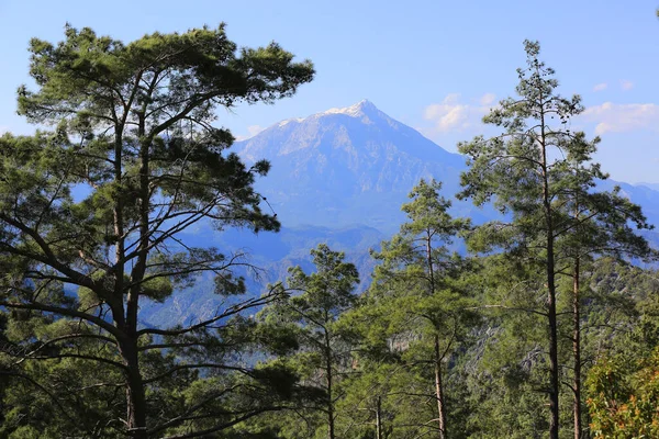 Blick Durch Bäume Auf Den Berühmten Tahtali Dagi Berg Der — Stockfoto