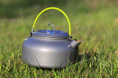 Güzel turist çaydanlığı yeşil çimlerde