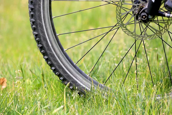 Rueda Bicicleta Hierba Verde — Foto de Stock