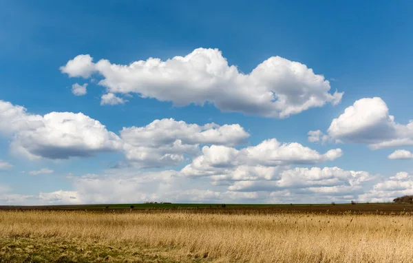 Pěkné Nebe Mraky Nad Suché Žluté Trávy Stepi — Stock fotografie