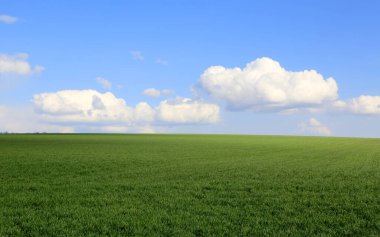 Güzel bahar gökyüzünün altında bulutlu yeşil bir alan.