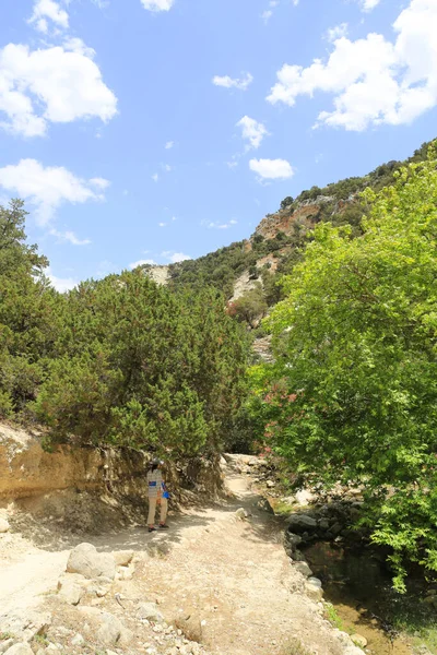 Torist Pad Beroemde Toeristische Plaats Avakas Gorge Cyprus — Stockfoto