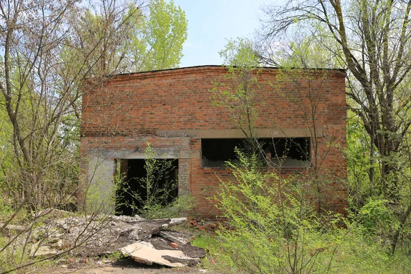 Ruínas Edifício Industrial Abandonado Hangar Com Alvenaria Vermelha Entre Árvores — Fotografia de Stock