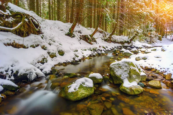 Nice Landscape River Winter Forest — Stock Photo, Image