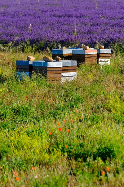 Bijenkorven in de Provence in Frankrijk — Stockfoto