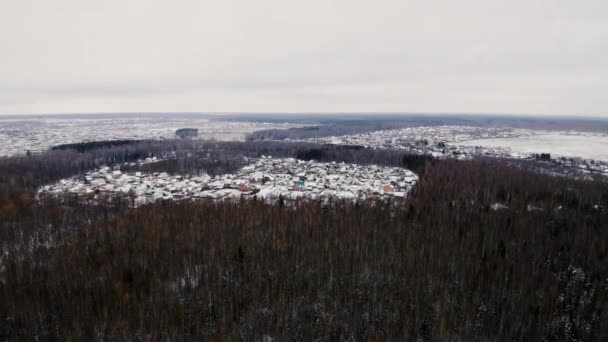 Luchtfoto van dennenbos op winter — Stockvideo