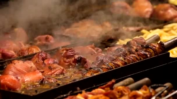 Мясо блюда готовятся на открытом огне — стоковое видео