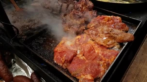 肉菜准备在户外的火上 — 图库视频影像