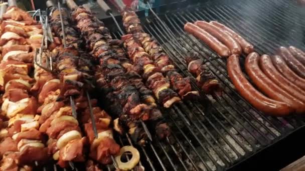 Platos de carne se preparan en fuego abierto — Vídeo de stock