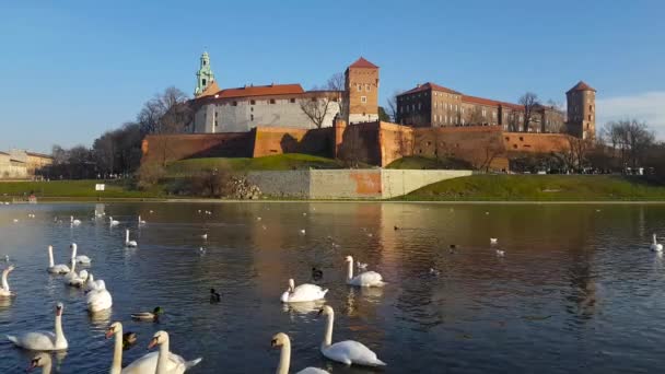 Famous landmark Wawel castle seen from Vistula — Stock Video