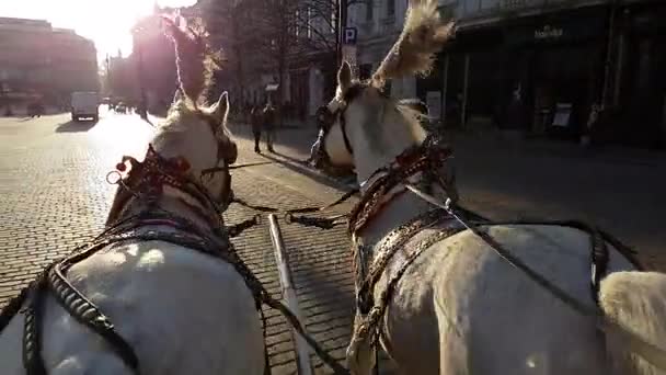 Pov view of ride two horse carriage around the main square in the old city centre — стоковое видео