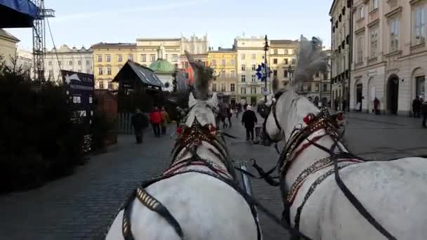 Pov view of ride two horse carriage around the main square in the old city centre — стоковое видео