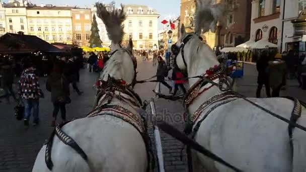 POV weergave twee paard en wagen rond het centrale plein in het oude centrum van de stad te rijden — Stockvideo
