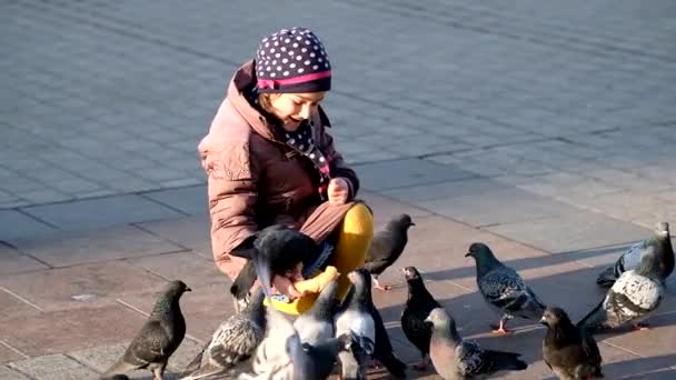 Idade da menina 6-8 anos alimentando pombos na praça principal na cidade velha — Vídeo de Stock
