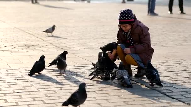 Età ragazza 6-8 anni che alimenta i piccioni nella piazza principale della città vecchia — Video Stock