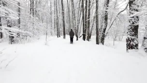 Ojciec prowadzi córkę na sankach za nimi iwalking matka — Wideo stockowe