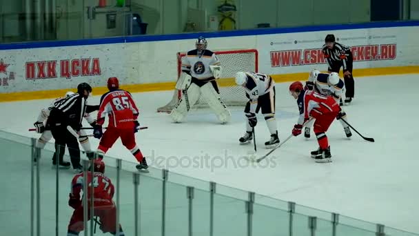 Хоккейный матч в Витязском дворце — стоковое видео