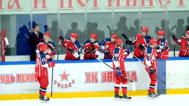 Jugadores de hockey cambian en el partido — Vídeos de Stock