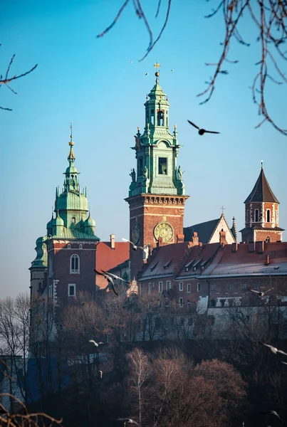 Famoso monumento castillo de Wawel —  Fotos de Stock