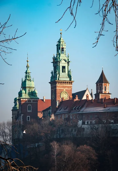 Famoso monumento castillo de Wawel — Foto de Stock