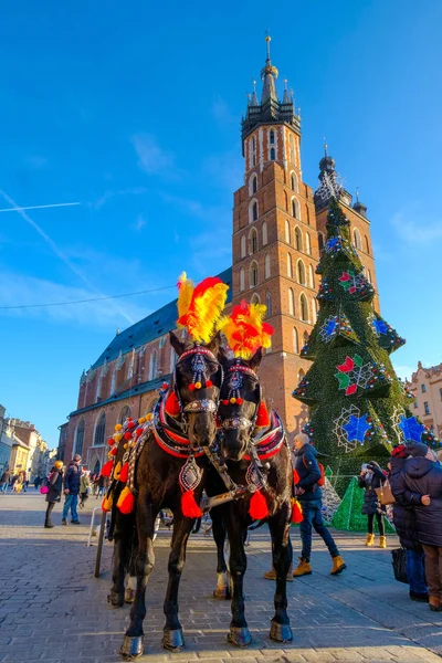 A lovaglás a turisták, a háttérben a székesegyház Mariacki kocsik — Stock Fotó