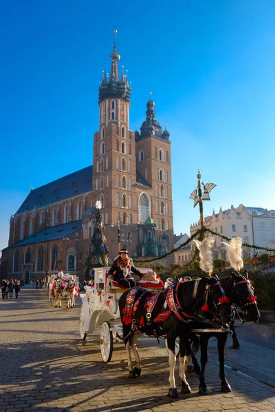 Vagnar för ridning turister på bakgrunden av Mariacki katedral — Stockfoto