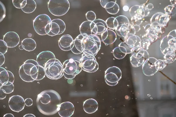 Soap bubbles in the air — Stock Photo, Image