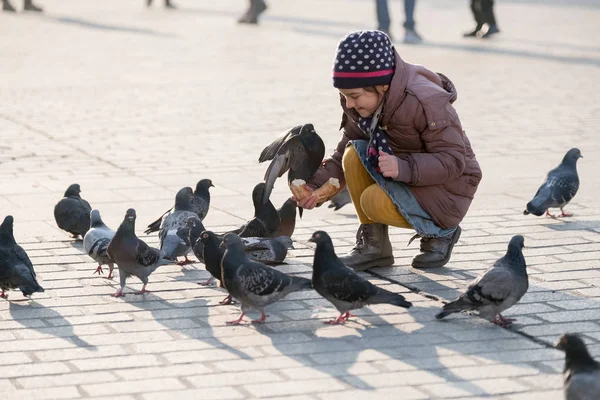 Età ragazza 6-8 anni che alimenta i piccioni nella piazza principale della città vecchia — Foto Stock