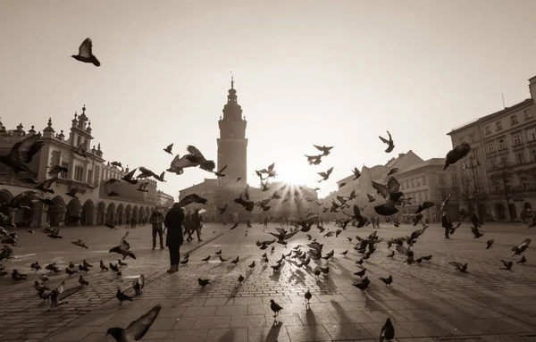 Colombe in volo sulla piazza principale della città vecchia — Foto Stock