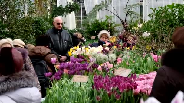 Mensen wonen voorjaar bloemen op dagtijd markt — Stockvideo