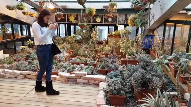 As pessoas assistem a uma exposição de plantas do deserto no jardim botânico — Vídeo de Stock
