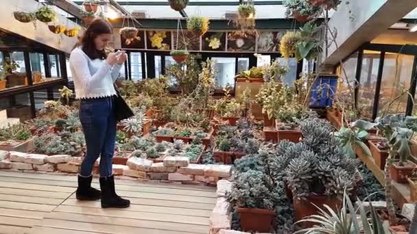 As pessoas assistem a uma exposição de plantas do deserto no jardim botânico — Vídeo de Stock