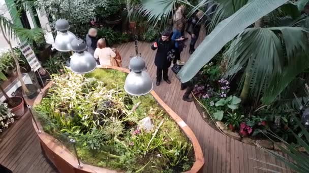 Menschen besuchen den botanischen Garten von oben — Stockvideo