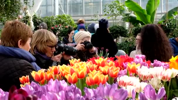 लोग दिन के समय वसंत फूल बाजार में भाग लेते हैं — स्टॉक वीडियो