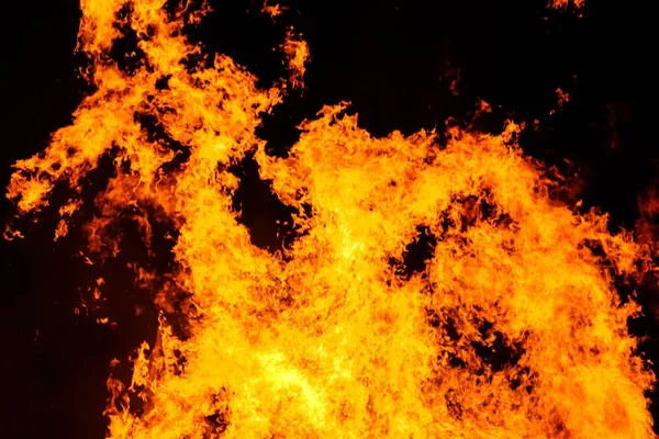 Velký oheň plamen pozadí — Stock fotografie