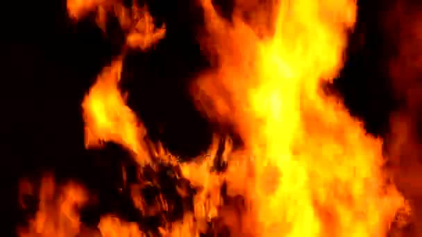 Wielki pożar płomień tło — Wideo stockowe