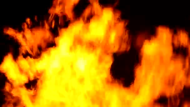 Hintergrund der großen Feuerflamme — Stockvideo