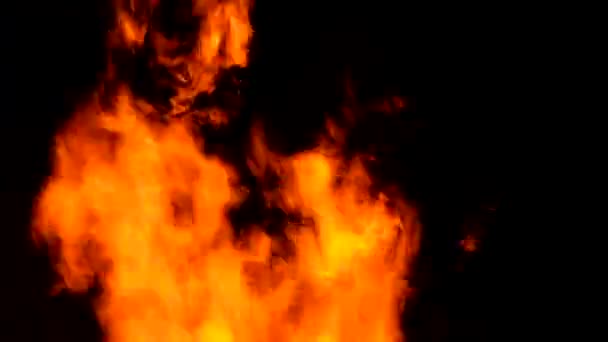 Nagy tűz láng háttér — Stock videók