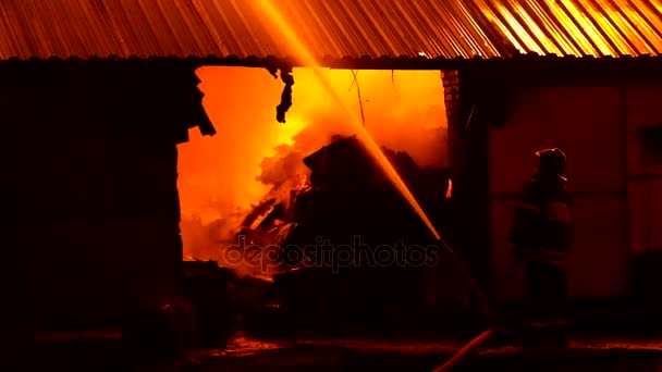 Los bomberos apagan un fuego — Vídeos de Stock