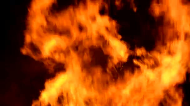 Grande fogo fundo chama — Vídeo de Stock