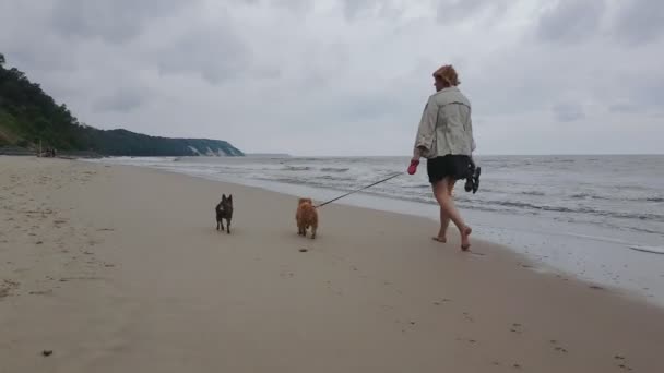 Młoda kobieta spacerująca wzdłuż plaży — Wideo stockowe