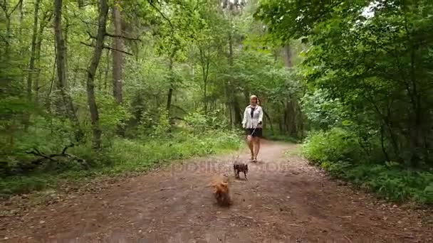 Jovem mulher andando em uma floresta — Vídeo de Stock