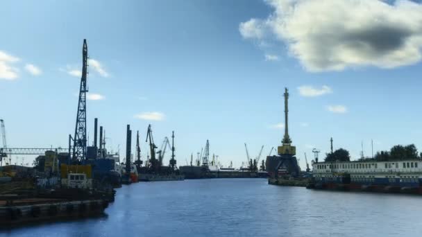 Guindastes de carga operam no porto marítimo — Vídeo de Stock