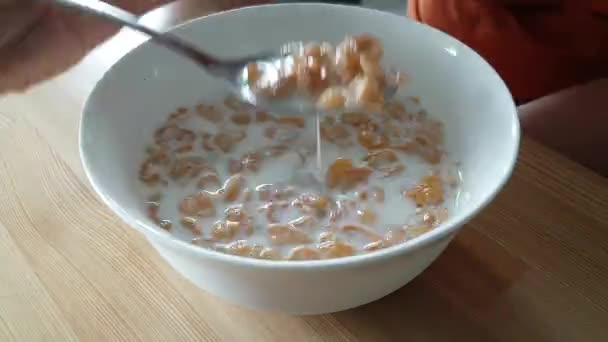 Äter cornflakes i mjölk till frukost — Stockvideo
