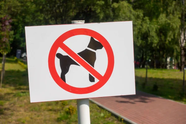 Förbjudna hund promenader tecken — Stockfoto