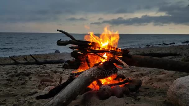Ogień na plaży o zmierzchu — Wideo stockowe