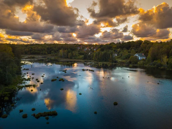 Paesaggio del lago nella foresta — Foto Stock