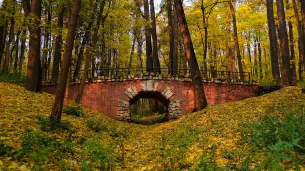 Parque de paisaje en otoño — Vídeos de Stock