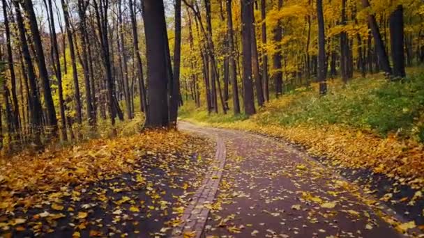 Paysage du parc à l'automne 